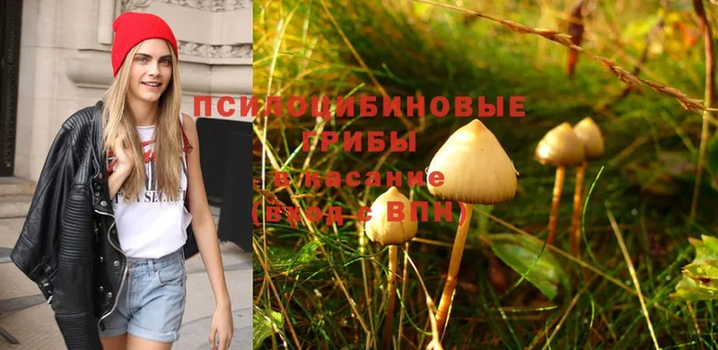 Галлюциногенные грибы Magic Shrooms  купить наркоту  Бугульма 