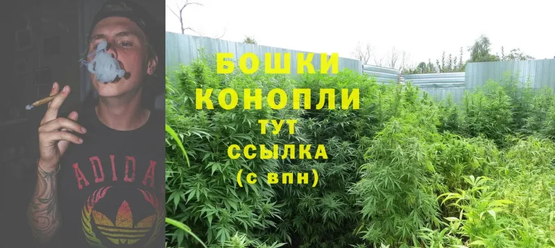 darknet телеграм  Бугульма  Конопля LSD WEED  MEGA зеркало 